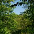 00 Beaver Meadow Road - Photo 1