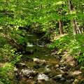 00 Beaver Meadow Road - Photo 10