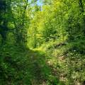 00 Beaver Meadow Road - Photo 11