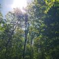 00 Beaver Meadow Road - Photo 12