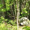 00 Beaver Meadow Road - Photo 14