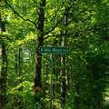 00 Beaver Meadow Road - Photo 2
