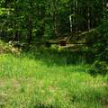 00 Beaver Meadow Road - Photo 4