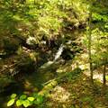 00 Beaver Meadow Road - Photo 6