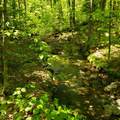 00 Beaver Meadow Road - Photo 7