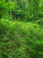 420 Nedeau Park Road - Photo 4