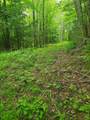 420 Nedeau Park Road - Photo 5