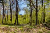 189 Shagbark Lane - Photo 36