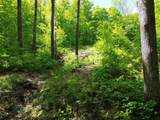 197 Sugar Ledge Road - Photo 15