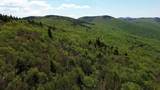 2016 Roxbury Mountain Road - Photo 10