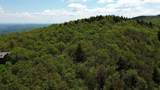 2016 Roxbury Mountain Road - Photo 5