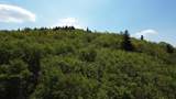 2016 Roxbury Mountain Road - Photo 7