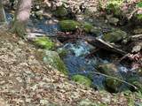 0 Peaked Hill Road - Photo 1