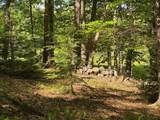 0 Peaked Hill Road - Photo 13
