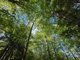 0 Peaked Hill Road - Photo 23