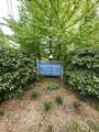 Lot 7 Pine Road - Photo 10