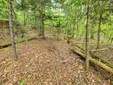 660 Brookview Lane - Photo 39