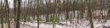 6 Johnny Hill Road - Photo 11