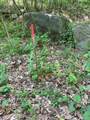 6 Johnny Hill Road - Photo 5