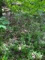 6 Johnny Hill Road - Photo 7