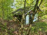 3517 Colvin Hill Road - Photo 14