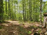 3517 Colvin Hill Road - Photo 15