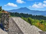 699 Nob Hill Road - Photo 46