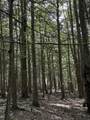 Lot 85 Currier Road - Photo 8