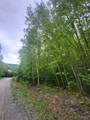 0 Saphire Lane - Photo 6
