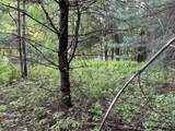Map17-Lot 31&33 River Road - Photo 20
