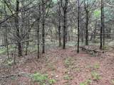 Map17-Lot 31&33 River Road - Photo 21