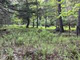 Map17-Lot 31&33 River Road - Photo 23