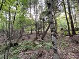 Map17-Lot 31&33 River Road - Photo 25
