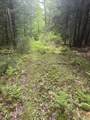Lot 13 Beach Pond Road - Photo 12
