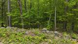 Lot 13 Beach Pond Road - Photo 14