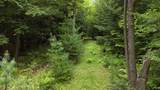 Lot 13 Beach Pond Road - Photo 16