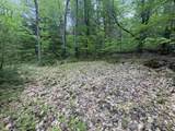 Lot 13 Beach Pond Road - Photo 3