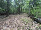 Lot 13 Beach Pond Road - Photo 4