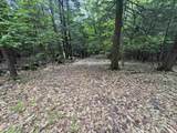 Lot 13 Beach Pond Road - Photo 8