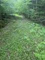 Lot 13 Beach Pond Road - Photo 9