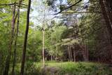 8 Goldsbury Woods Road - Photo 14