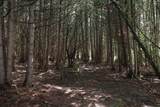 8 Goldsbury Woods Road - Photo 18