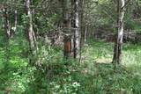 8 Goldsbury Woods Road - Photo 21