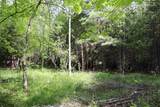 8 Goldsbury Woods Road - Photo 27