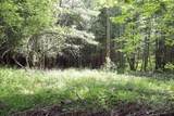 8 Goldsbury Woods Road - Photo 28