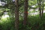 8 Goldsbury Woods Road - Photo 29
