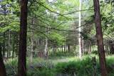 8 Goldsbury Woods Road - Photo 30