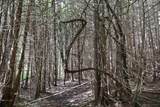 8 Goldsbury Woods Road - Photo 31