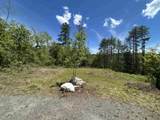 14 Sugar Lot Lane - Photo 6