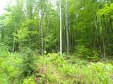 0 Foliage Lane - Photo 1